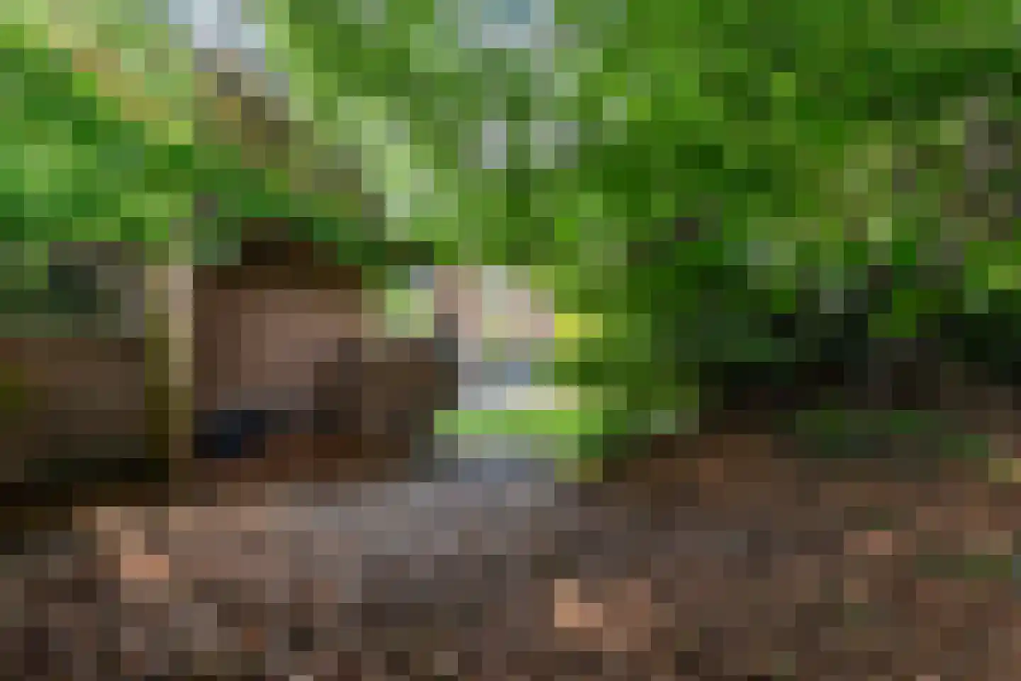 Aalbessenlaan 20 Apeldoorn thumbnail 24