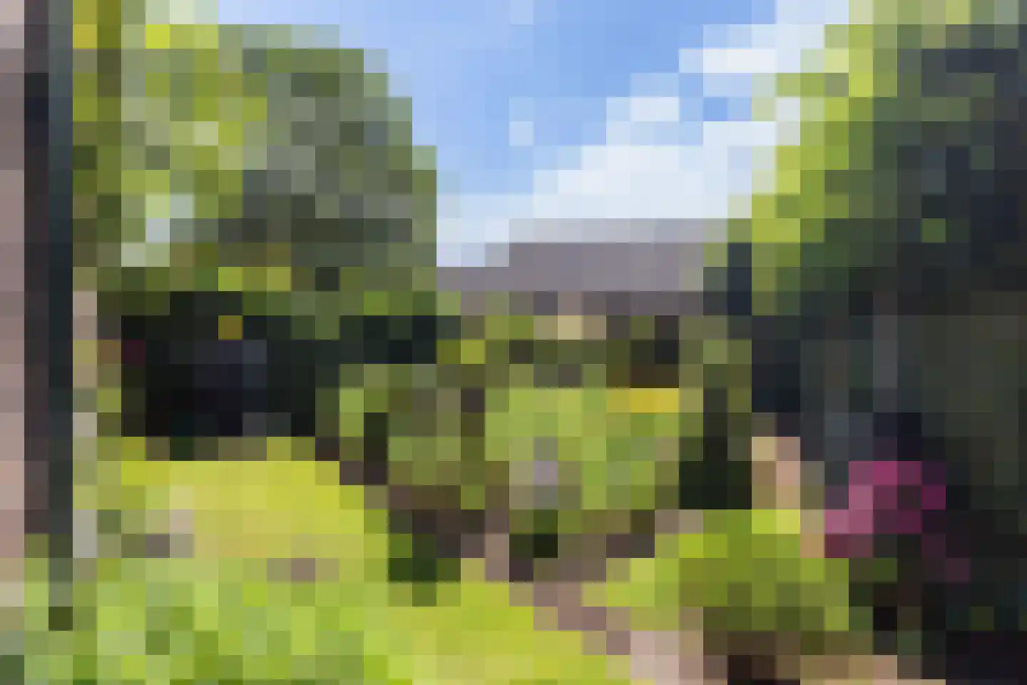 Aalbessenlaan 20 Apeldoorn thumbnail 27