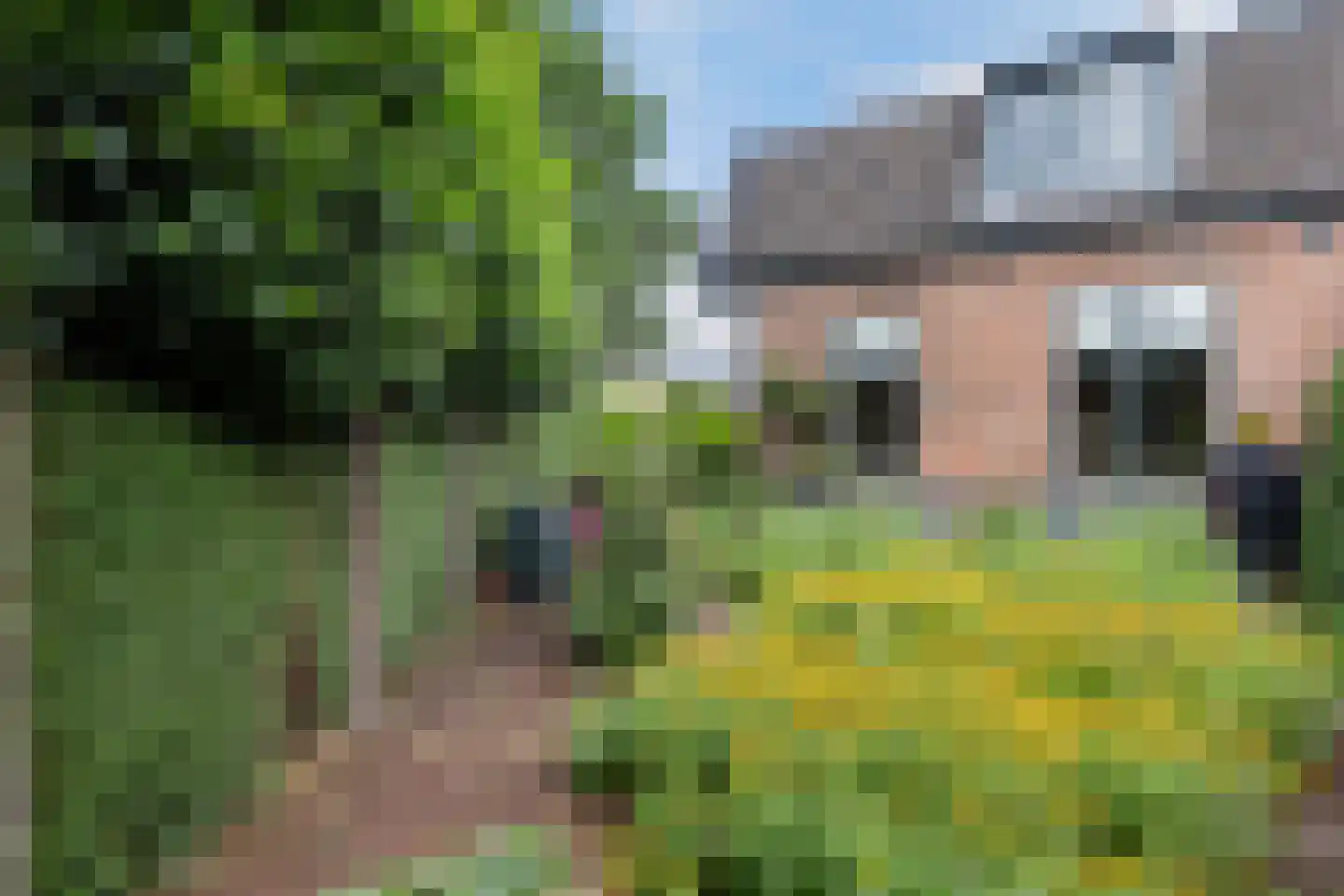 Aalbessenlaan 20 Apeldoorn thumbnail 28