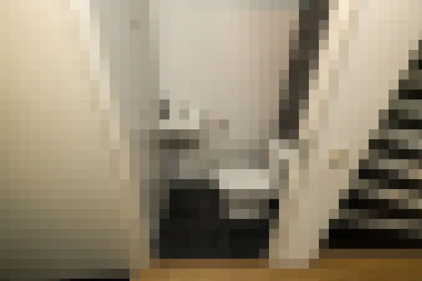 Aalbessenlaan 23 Wateringen thumbnail 13