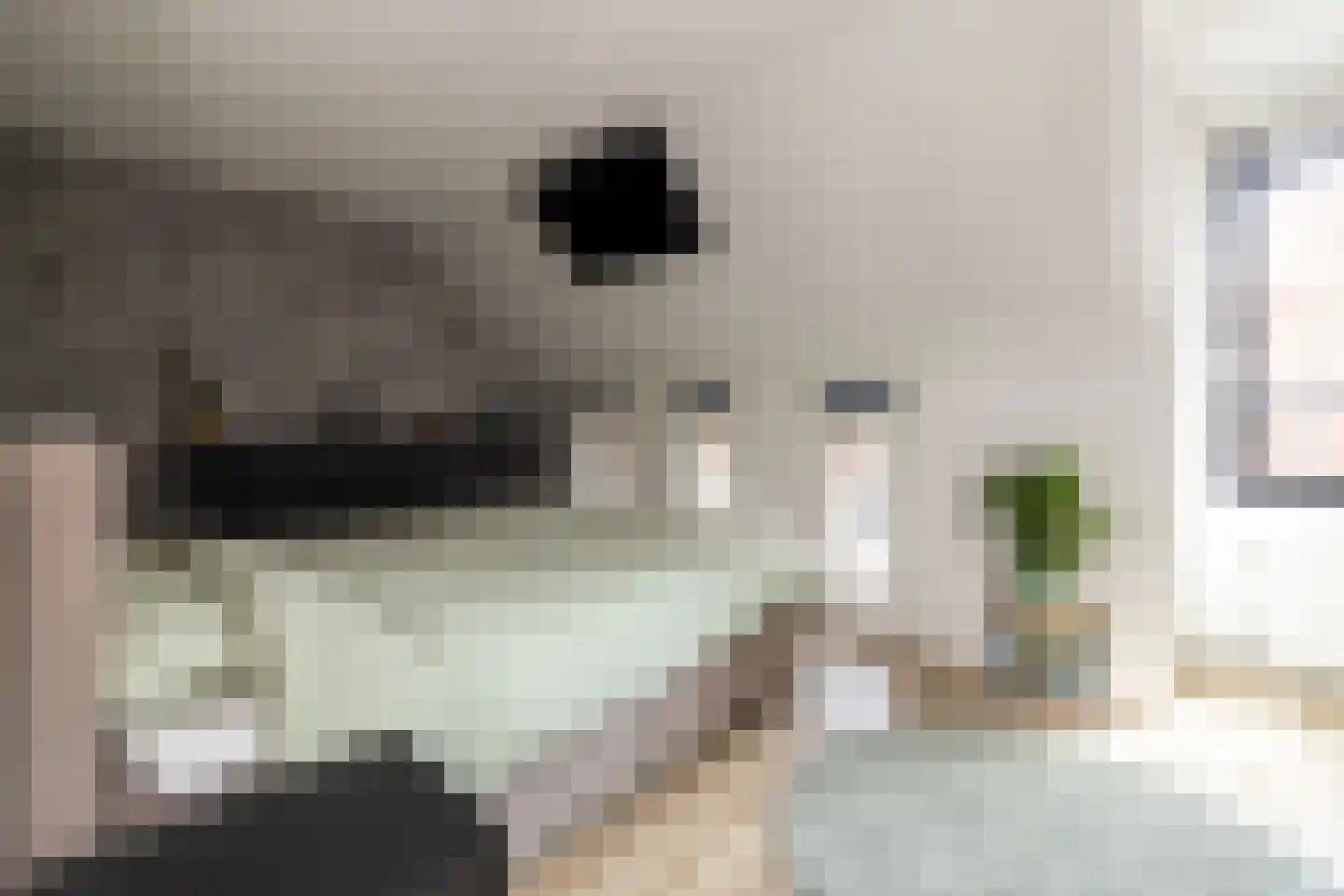 Aalbessenlaan 23 Wateringen thumbnail 15