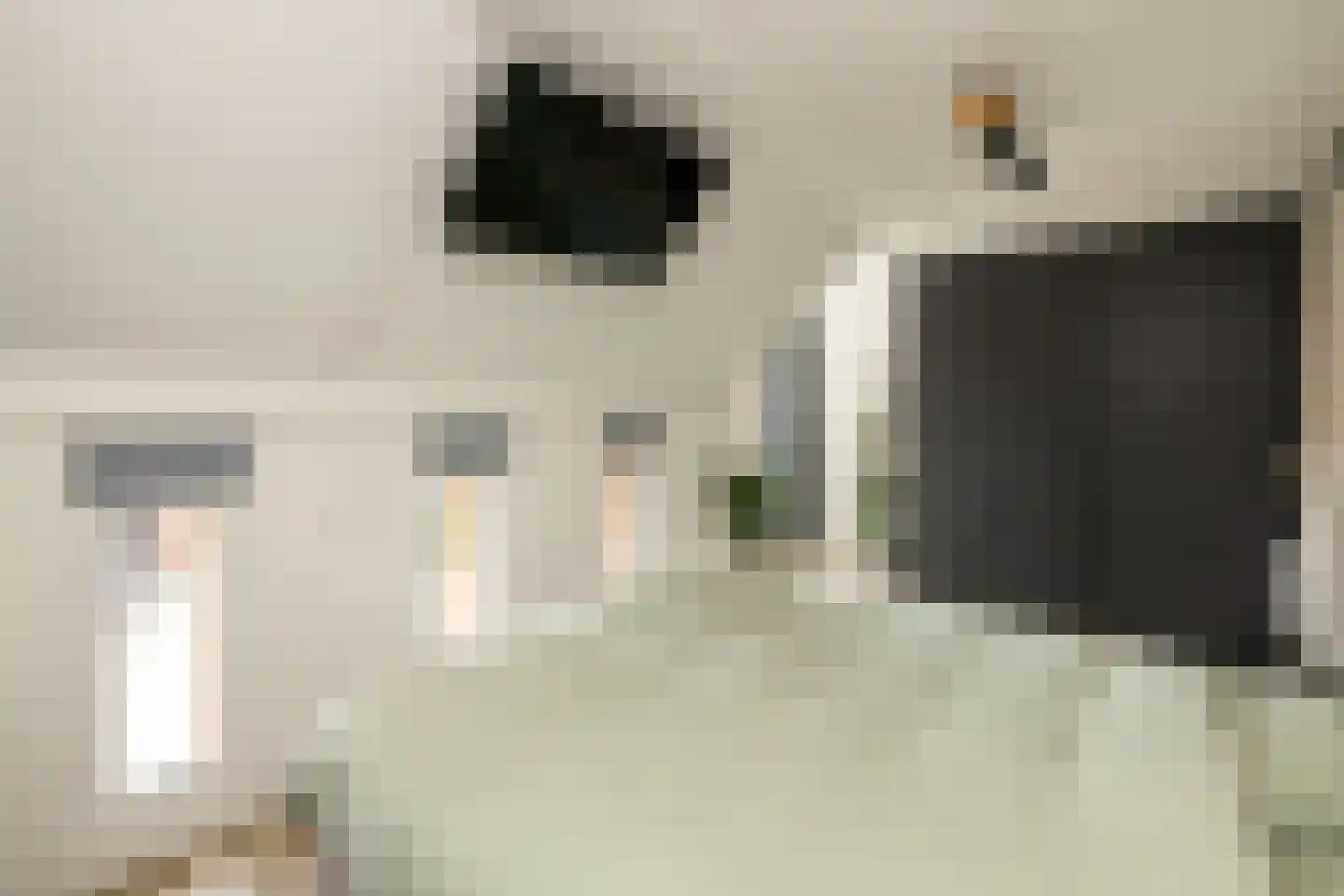 Aalbessenlaan 23 Wateringen thumbnail 16
