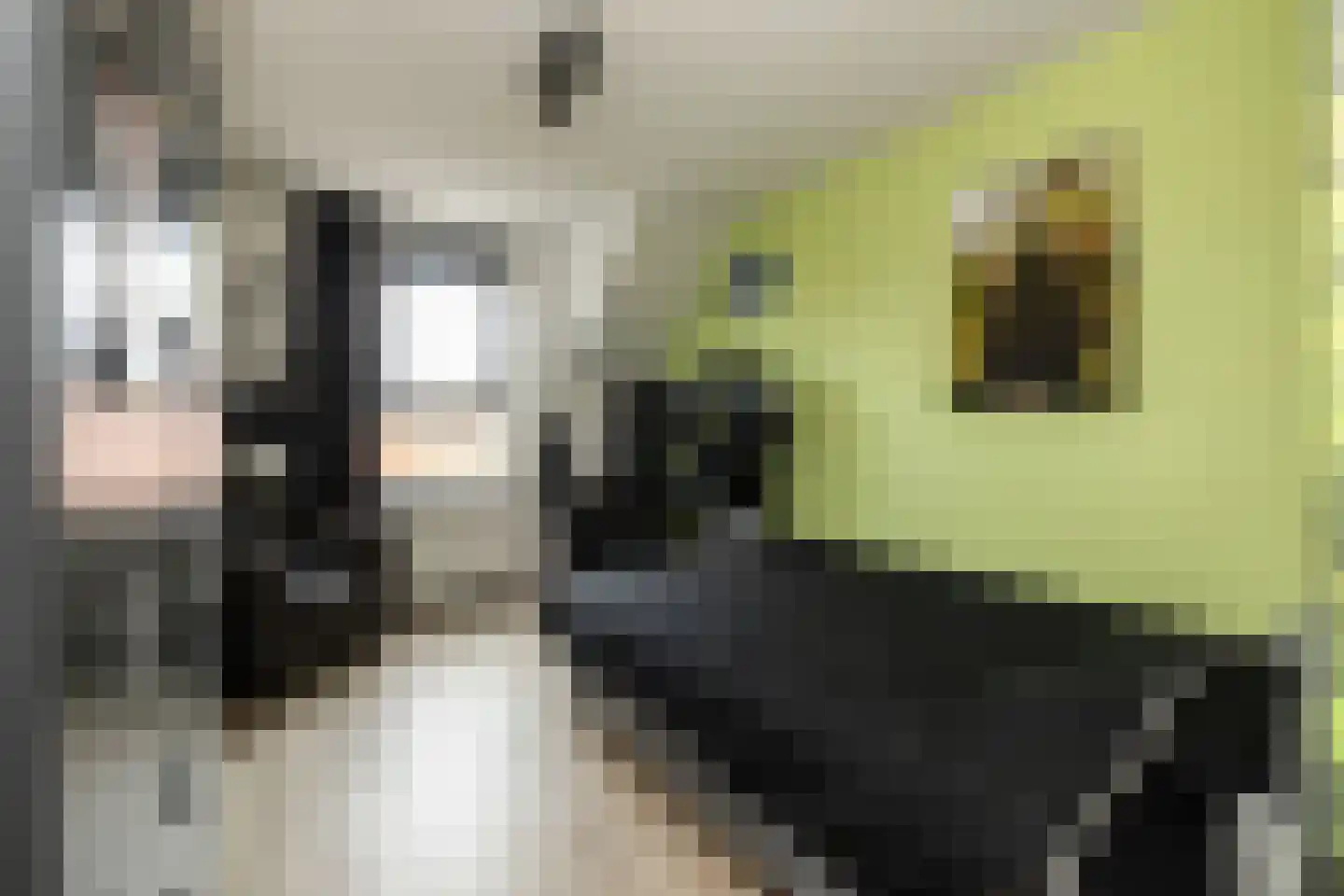 Aalbessenlaan 23 Wateringen thumbnail 23
