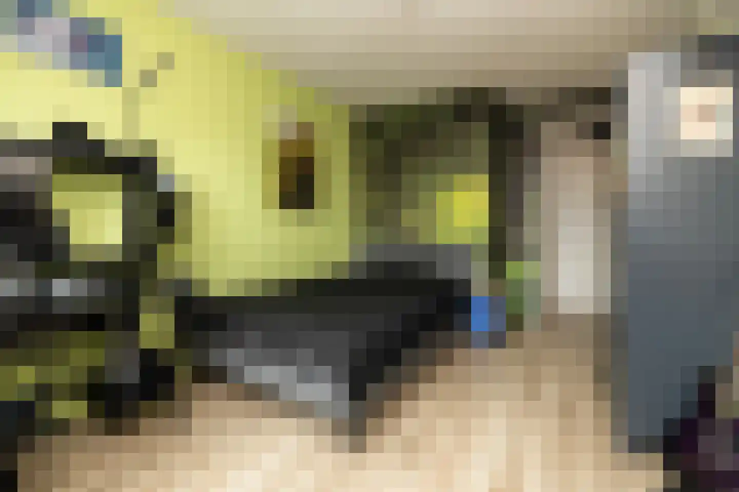 Aalbessenlaan 23 Wateringen thumbnail 24
