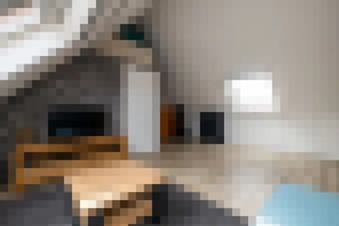 Aalbessenlaan 23 Wateringen thumbnail 28