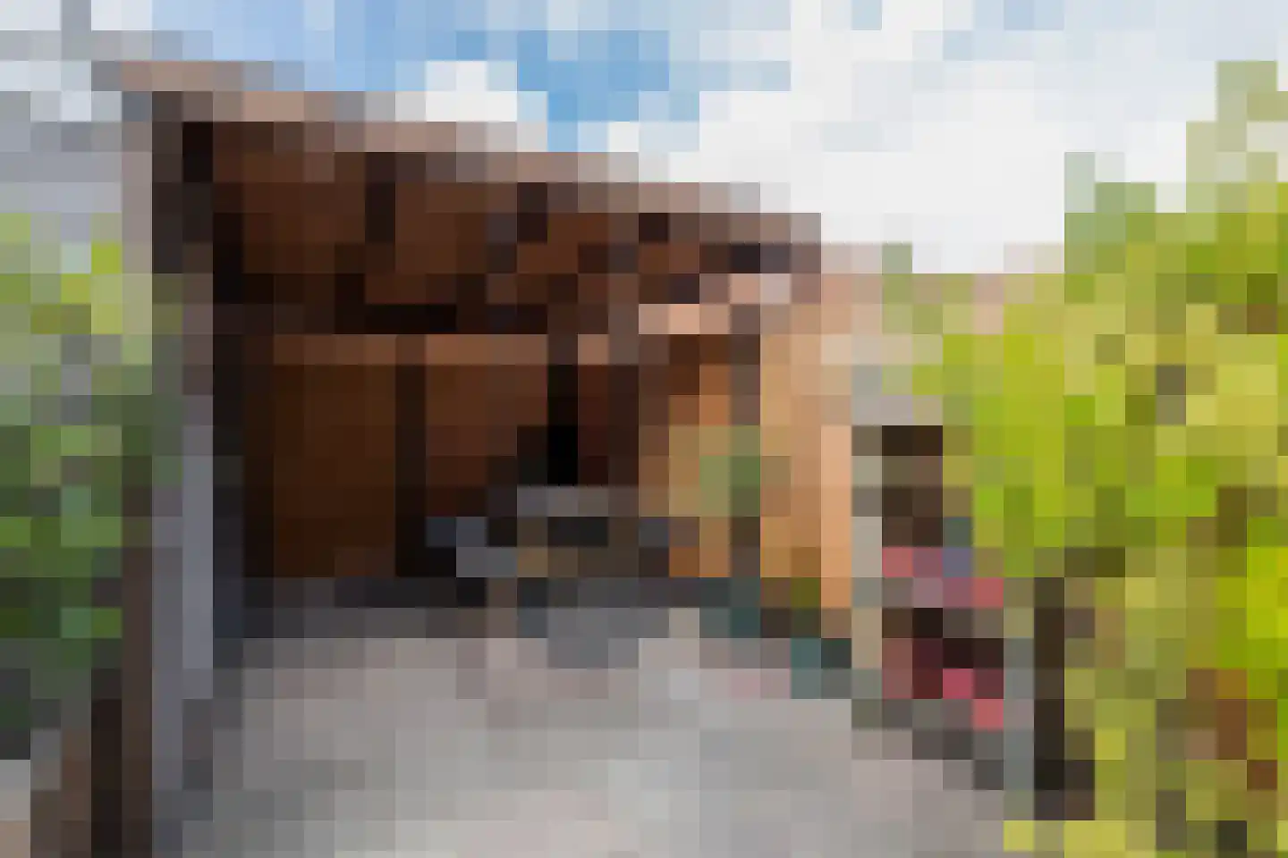 Aalbessenlaan 23 Wateringen thumbnail 32