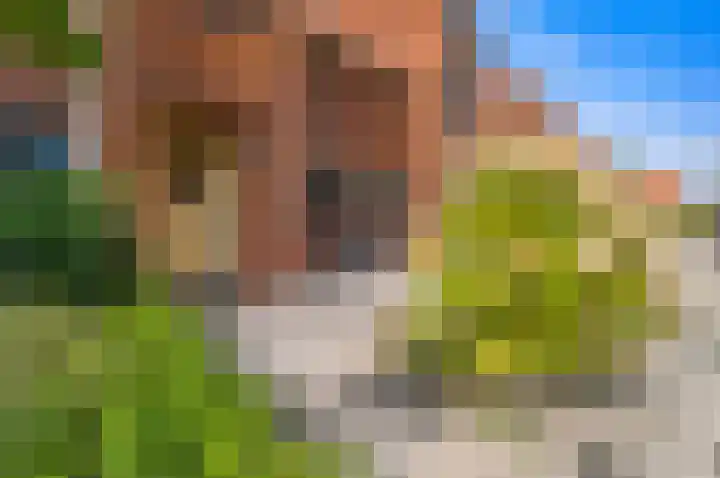 Aalbessenlaan 25 Wateringen thumbnail 9