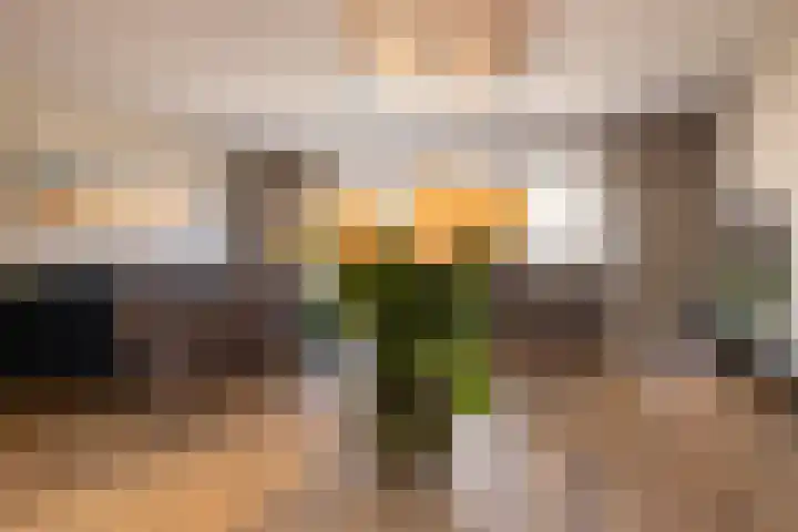 Aalbessenlaan 31 Wateringen thumbnail 13