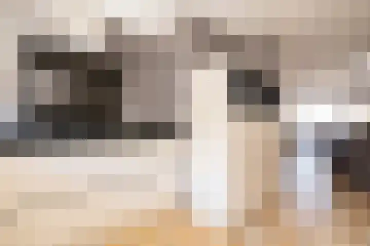 Aalbessenlaan 31 Wateringen thumbnail 16