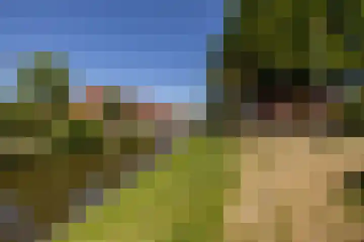 Aalbessenlaan 31 Wateringen thumbnail 46