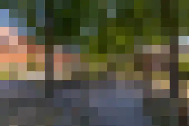 Aalbessenlaan 31 Wateringen thumbnail 48