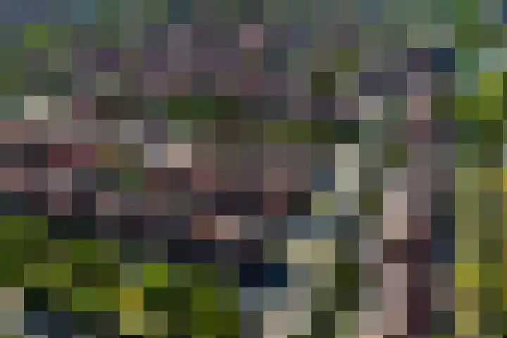 Aalbessenlaan 31 Wateringen thumbnail 5