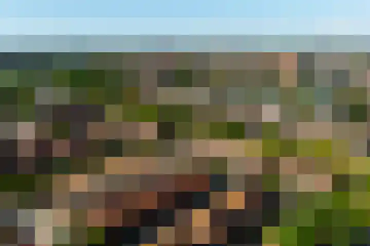 Aalbessenlaan 31 Wateringen thumbnail 51