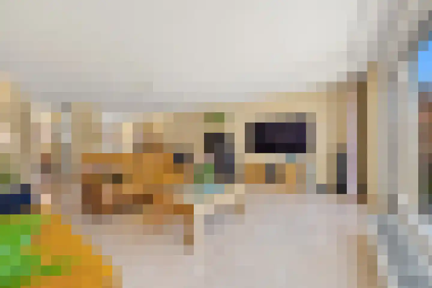 Aalbessenlaan 5 Wateringen thumbnail 10