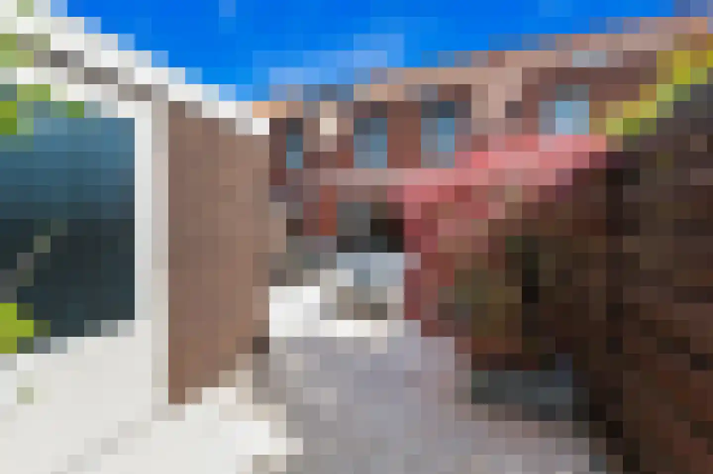 Aalbessenlaan 5 Wateringen thumbnail 15