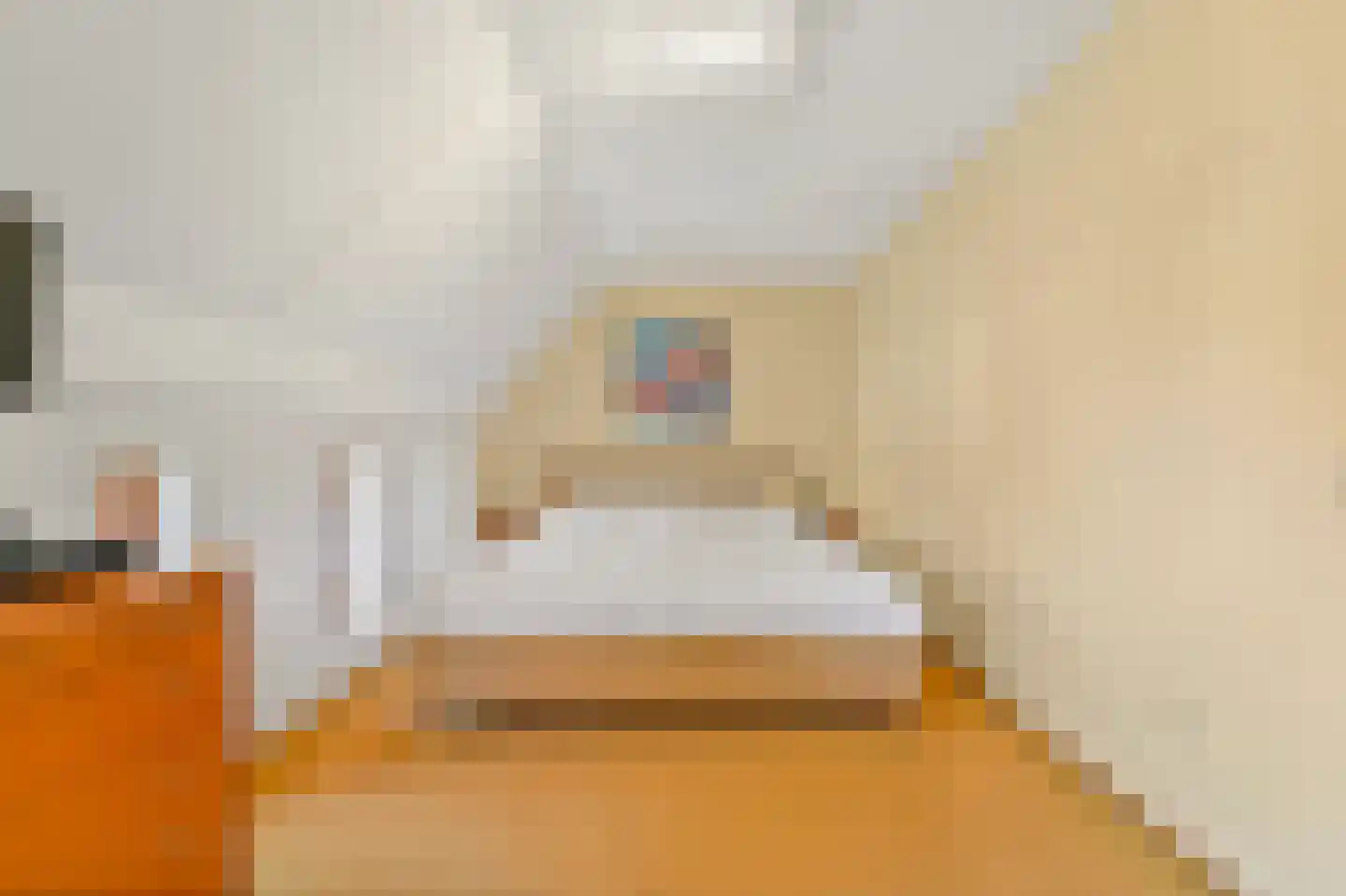 Aalbessenlaan 5 Wateringen thumbnail 35