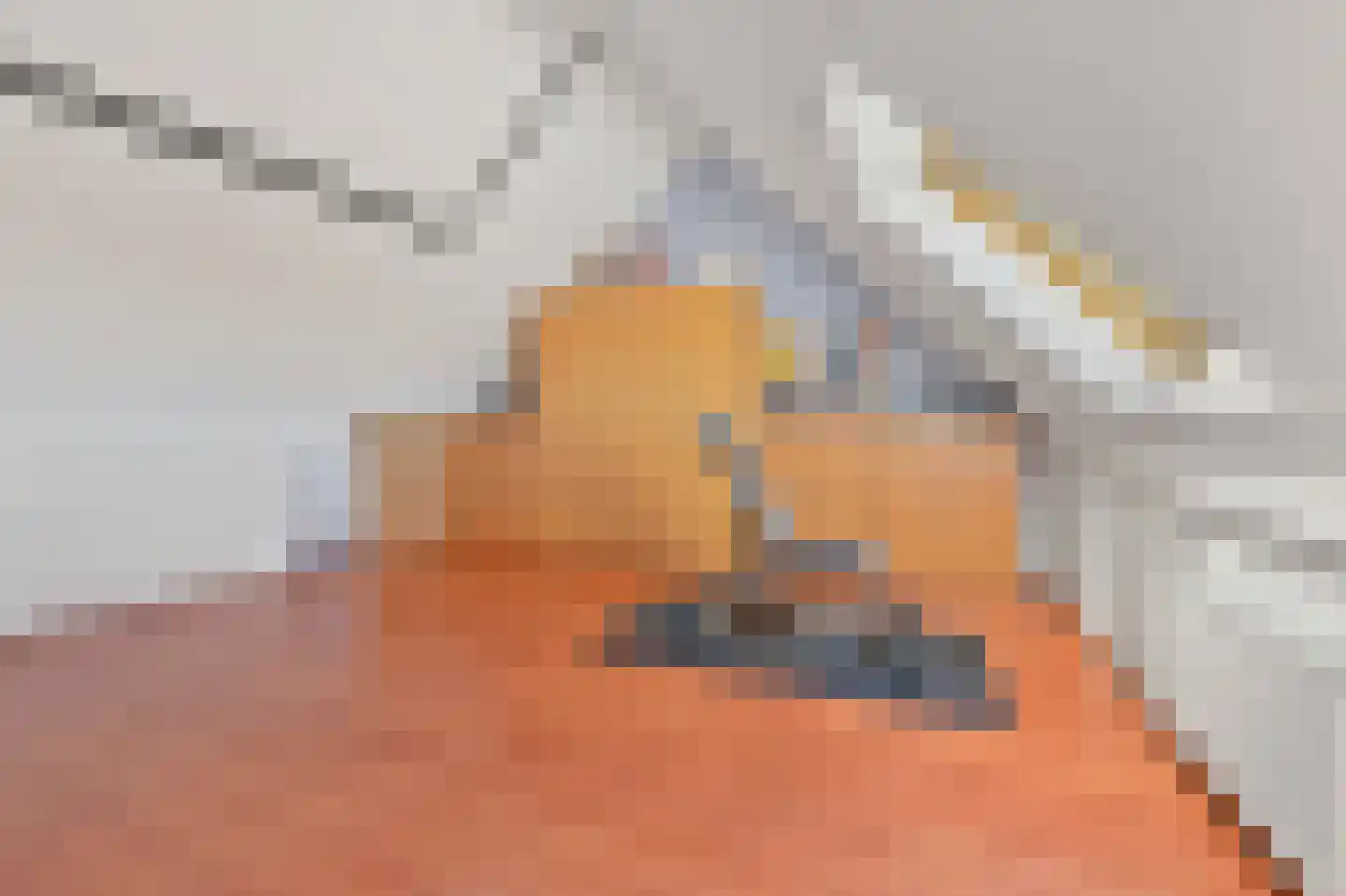 Aalbessenlaan 5 Wateringen thumbnail 38