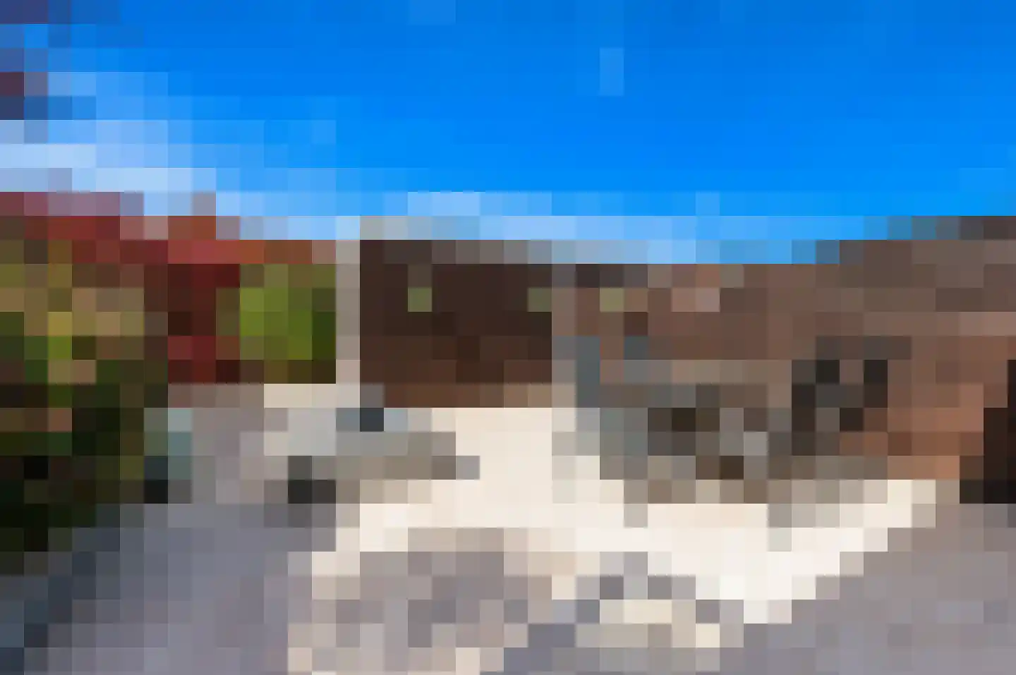 Aalbessenlaan 5 Wateringen thumbnail 4