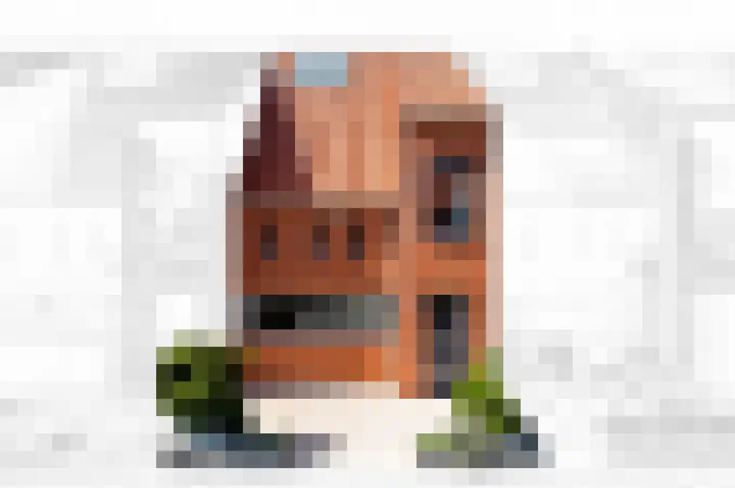 Aalbessenlaan 5 Wateringen thumbnail 41