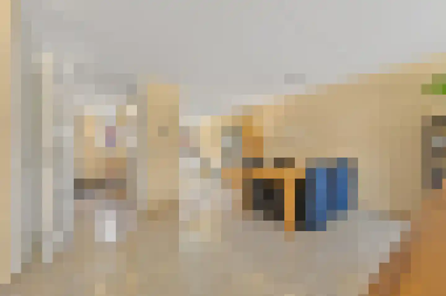 Aalbessenlaan 5 Wateringen thumbnail 6