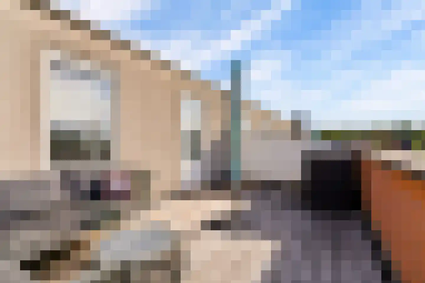 Aalbessenstraat 23 Almere thumbnail 41