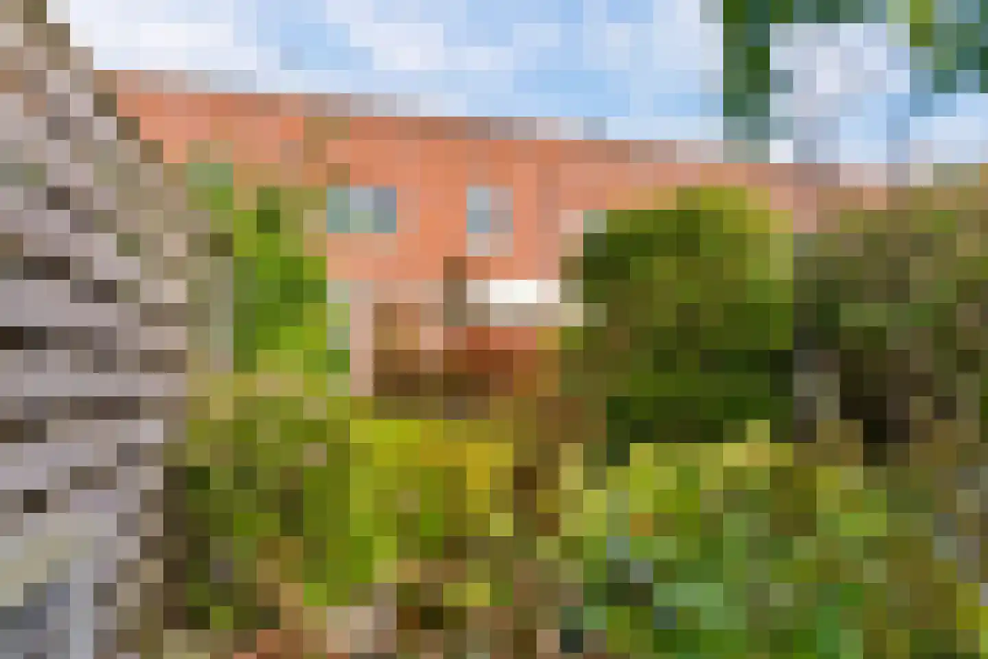 Aalbessenstraat 23 Almere thumbnail 46