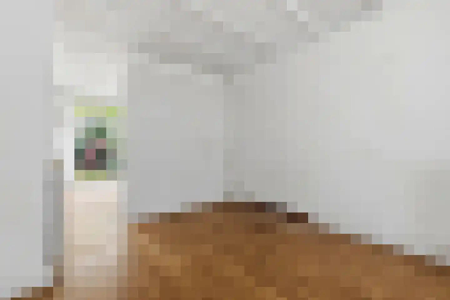 Aalbessenstraat 34 Den Haag thumbnail 8