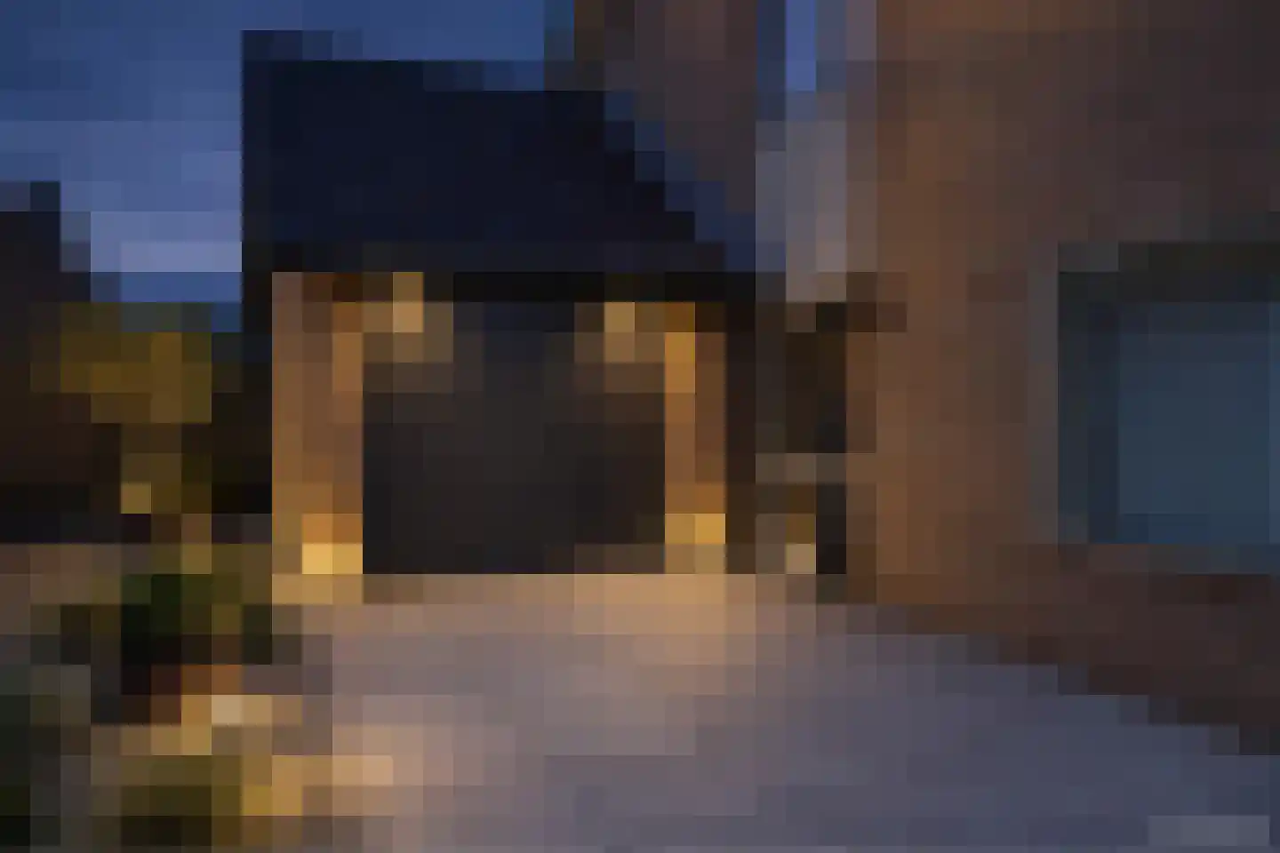 Aalbessestraat 37 Krabbendijke thumbnail 12