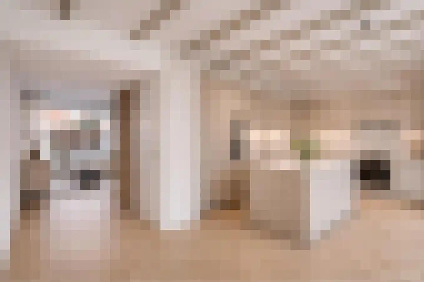 Aalbessestraat 37 Krabbendijke thumbnail 17