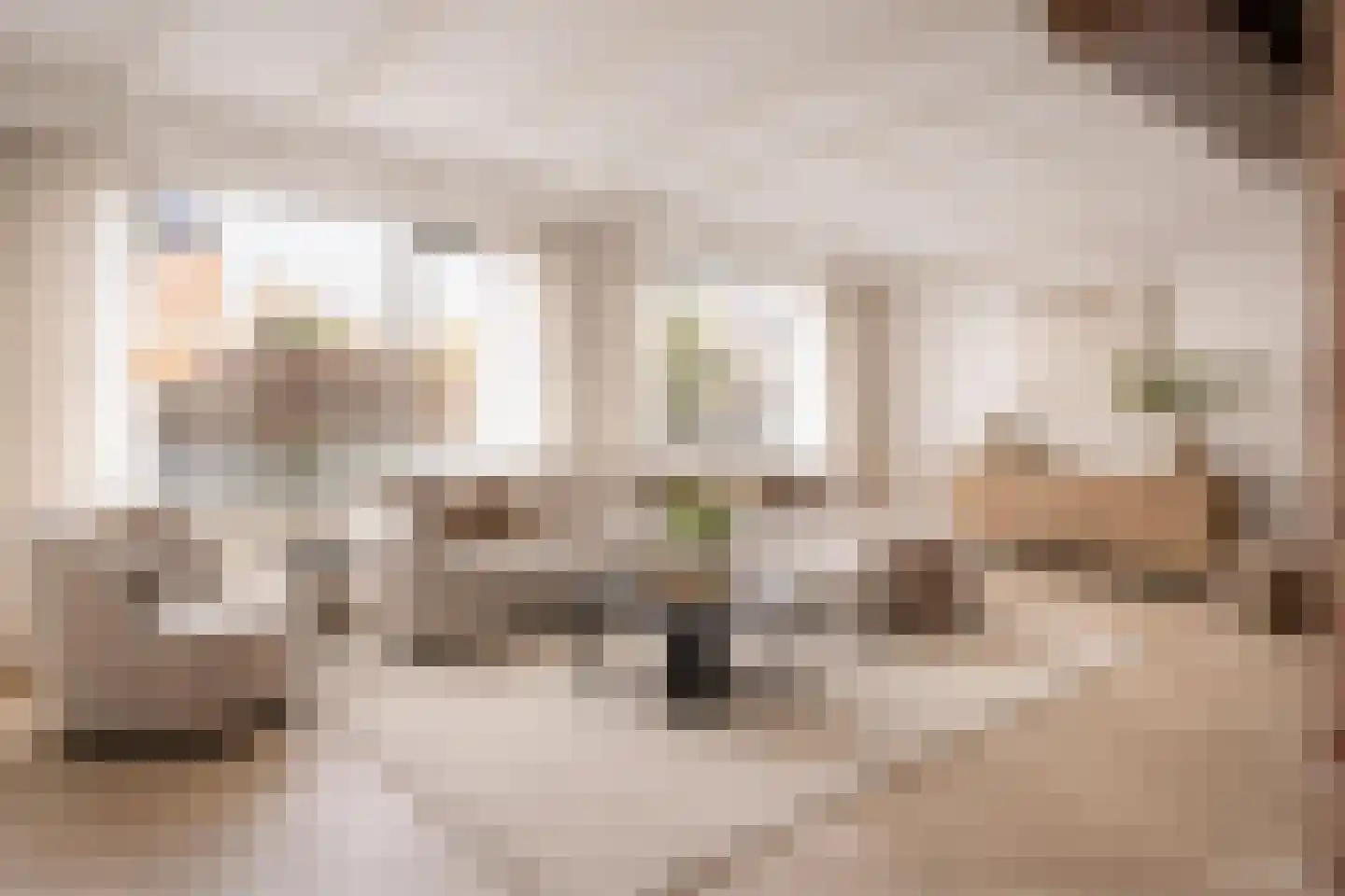 Aalbessestraat 37 Krabbendijke thumbnail 5