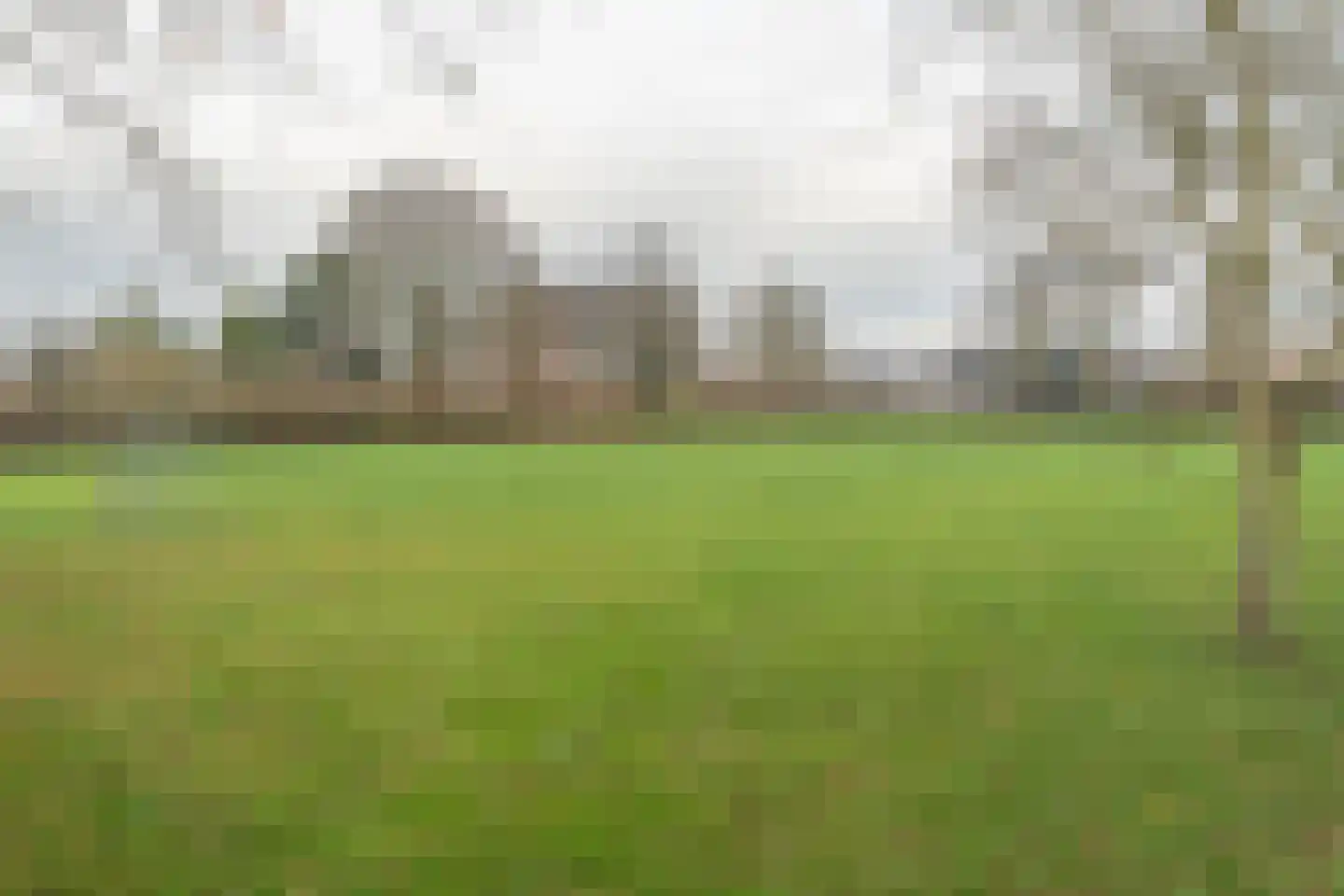 Aalbessestraat 37 Krabbendijke thumbnail 50