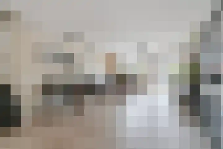 Aalborg Haackslaan 28 Hendrik-Ido-Ambacht thumbnail 6