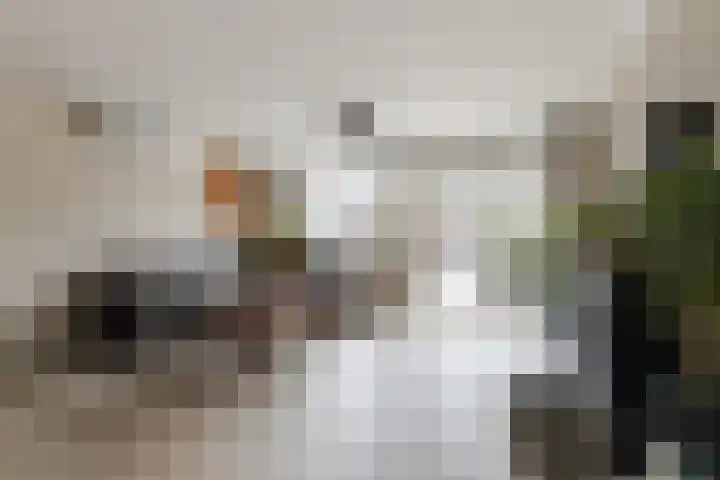 Aalborg Haackslaan 28 Hendrik-Ido-Ambacht thumbnail 7