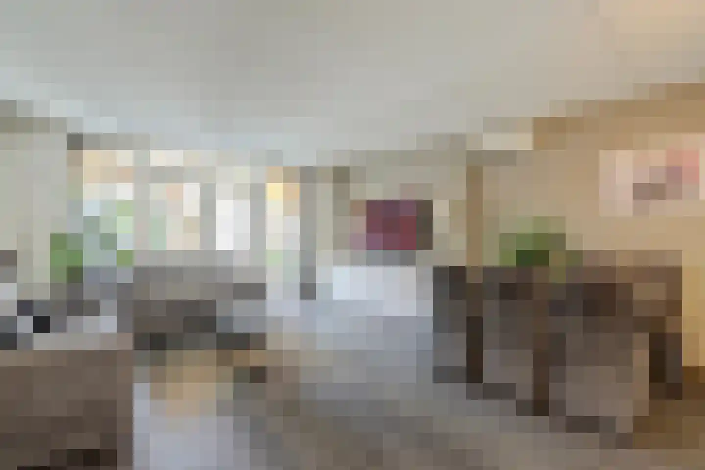 Aalborg Haackslaan 32 Hendrik-Ido-Ambacht thumbnail 6