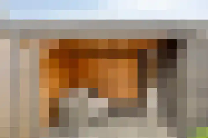 Aalborg Haackslaan 38 Hendrik-Ido-Ambacht thumbnail 16