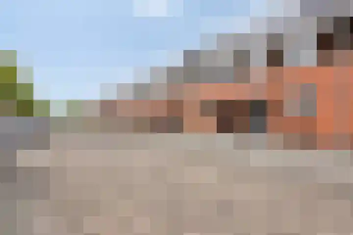 Aalborg Haackslaan 38 Hendrik-Ido-Ambacht thumbnail 33