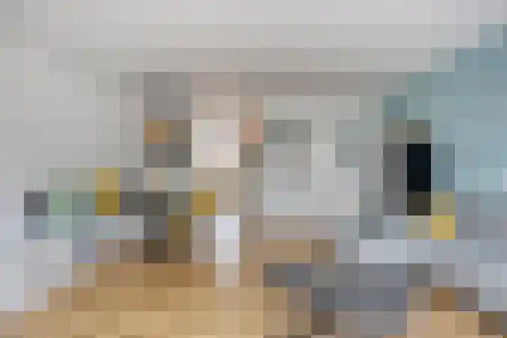 Aalborg Haackslaan 38 Hendrik-Ido-Ambacht thumbnail 8
