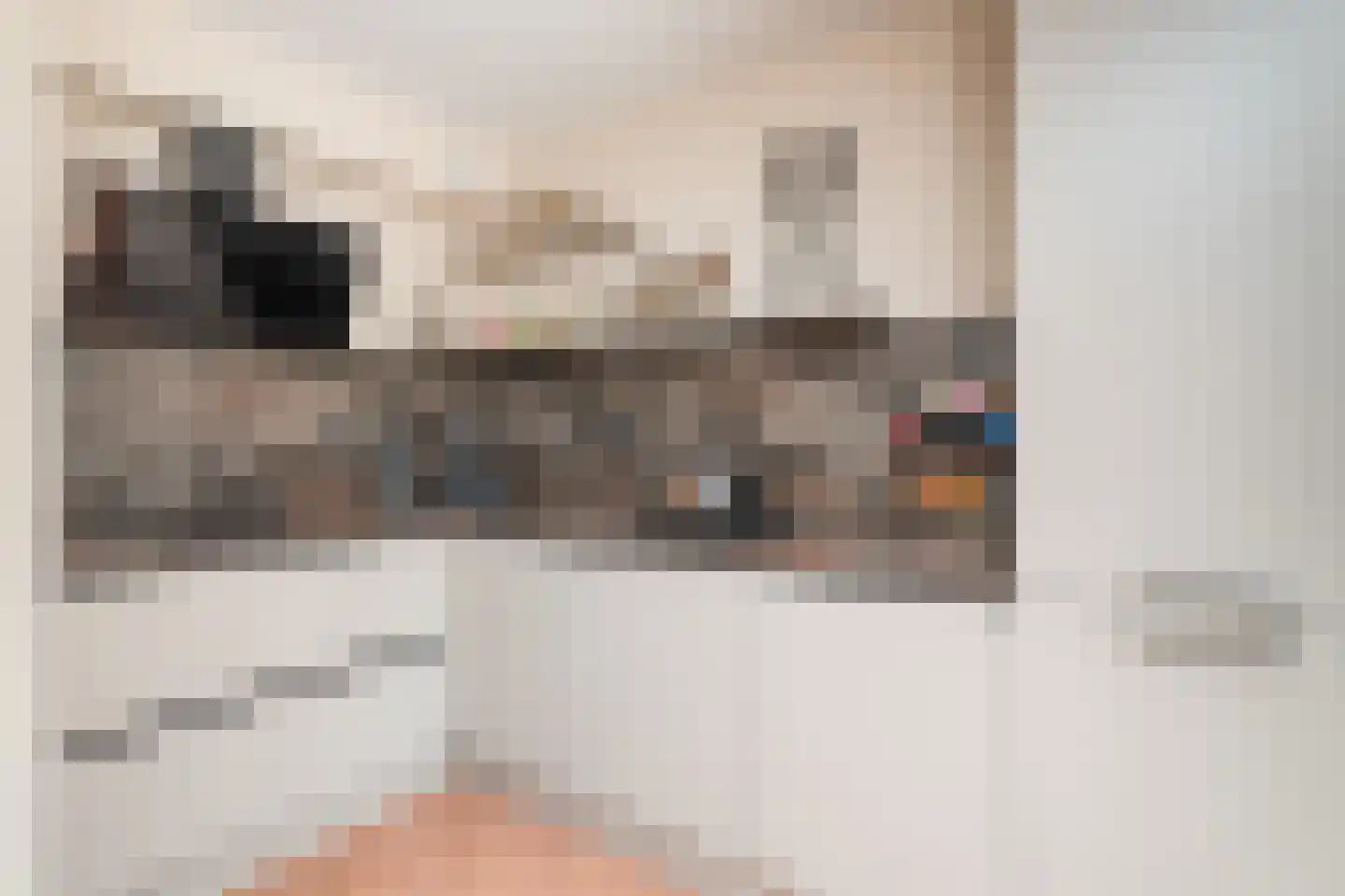 Aalborg Haackslaan 7 Hendrik-Ido-Ambacht thumbnail 4