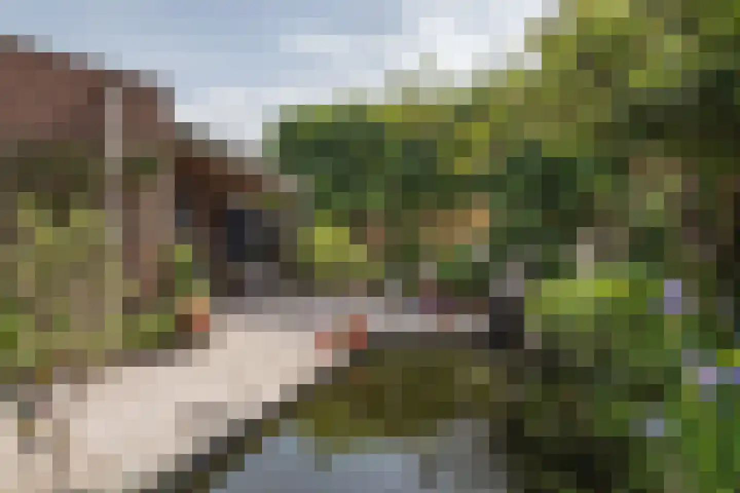 Aalborg Haackslaan 7 Hendrik-Ido-Ambacht thumbnail 9