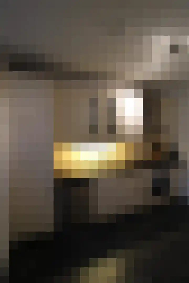 Aalborgpad 16 Rotterdam thumbnail 13