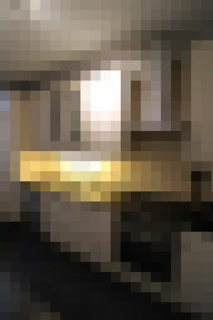 Aalborgpad 16 Rotterdam thumbnail 14