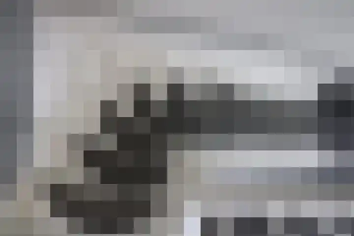 Aalborgpad 16 Rotterdam thumbnail 18