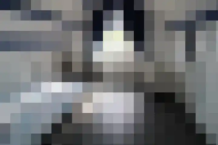 Aalborgpad 16 Rotterdam thumbnail 19