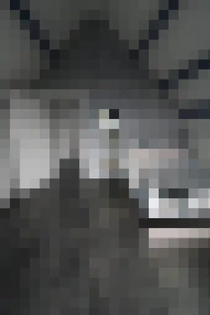 Aalborgpad 16 Rotterdam thumbnail 22