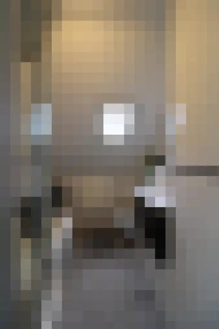 Aalborgpad 16 Rotterdam thumbnail 28