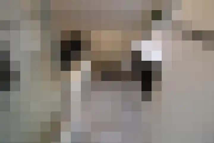 Aalborgpad 16 Rotterdam thumbnail 29