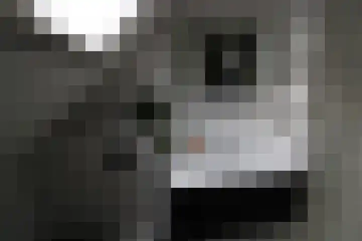 Aalborgpad 16 Rotterdam thumbnail 30