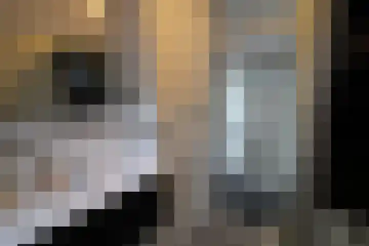 Aalborgpad 16 Rotterdam thumbnail 31