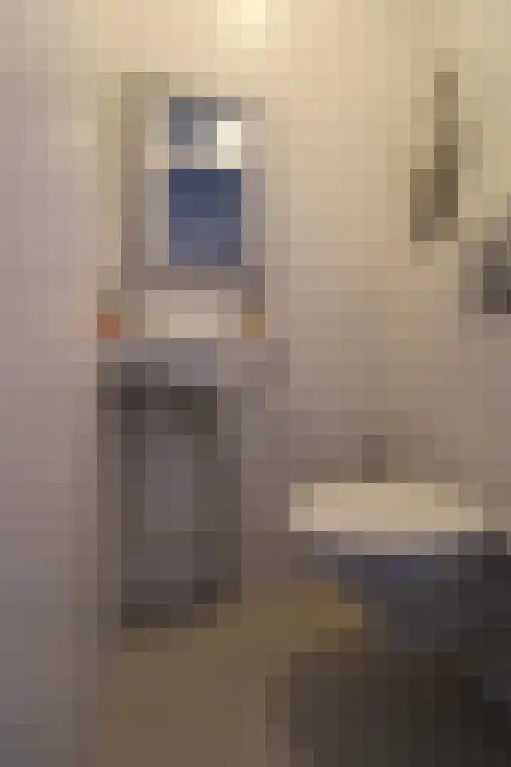 Aalborgpad 16 Rotterdam thumbnail 35
