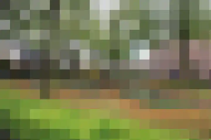 Aalborgpad 16 Rotterdam thumbnail 39